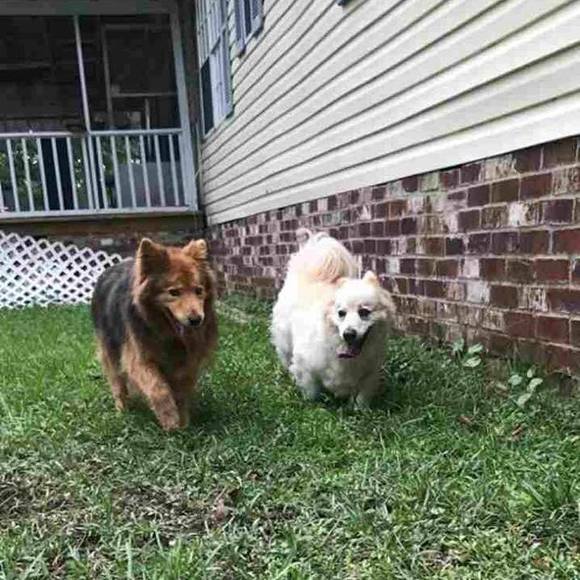 Meet your Posher, Mickey - Picture 2 of 2